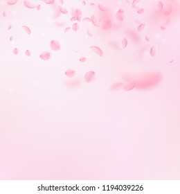 Sakura petals falling down. Romantic pink flowers gradient. Flying petals on pink square background. Love, romance concept. Ecstatic wedding invitation.