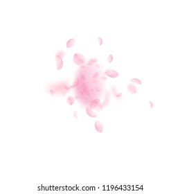 Sakura petals falling down. Romantic pink flowers explosion. Flying petals on white square background. Love, romance concept. Excellent wedding invitation.