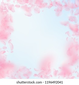 Sakura petals falling down. Romantic pink flowers frame. Flying petals on blue sky square background. Love, romance concept. Neat wedding invitation.
