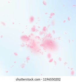 Pétalos de sakura cayendo. Explosión romántica de flores rosas. Pétalos voladores sobre fondo azul de la plaza del cielo. Amor, concepto romántico. Elegante invitación a la boda.