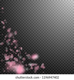 Sakura petals falling down. Romantic pink flowers corner. Flying petals on transparent square background. Love, romance concept. Astonishing wedding invitation.
