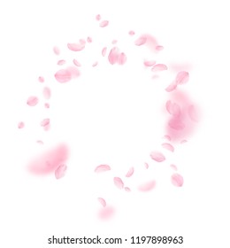 Sakura petals falling down. Romantic pink flowers vignette. Flying petals on white square background. Love, romance concept. Fair wedding invitation.