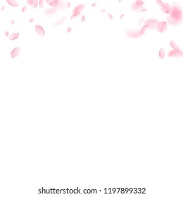 Sakura petals falling down. Romantic pink flowers gradient. Flying petals on white square background. Love, romance concept. Alluring wedding invitation.