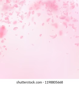 Sakura petals falling down. Romantic pink flowers falling rain. Flying petals on pink square background. Love, romance concept. Lovely wedding invitation.
