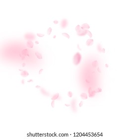 Sakura petals falling down. Romantic pink flowers frame. Flying petals on white square background. Love, romance concept. Outstanding wedding invitation.