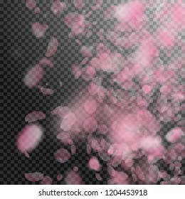 Sakura petals falling down. Romantic pink flowers gradient. Flying petals on transparent square background. Love, romance concept. Admirable wedding invitation.