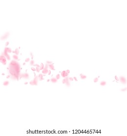 Sakura petals falling down. Romantic pink flowers comet. Flying petals on white square background. Love, romance concept. Powerful wedding invitation.