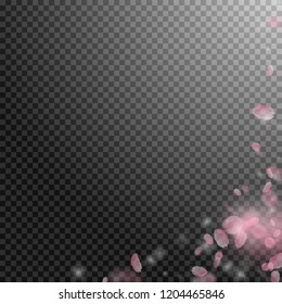 Sakura petals falling down. Romantic pink flowers corner. Flying petals on transparent square background. Love, romance concept. Wondrous wedding invitation.