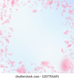 Sakura petals falling down. Romantic pink flowers frame. Flying petals on blue sky square background. Love, romance concept. Noteworthy wedding invitation.
