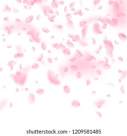 Sakura petals falling down. Romantic pink flowers gradient. Flying petals on white square background. Love, romance concept. Awesome wedding invitation.