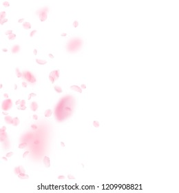 Sakura petals falling down. Romantic pink flowers gradient. Flying petals on white square background. Love, romance concept. Unusual wedding invitation.