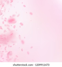 Sakura petals falling down. Romantic pink flowers gradient. Flying petals on pink square background. Love, romance concept. Actual wedding invitation.