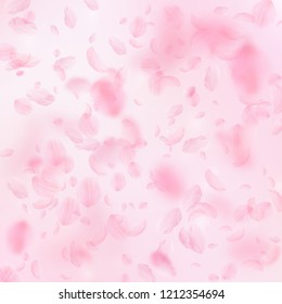 Sakura petals falling down. Romantic pink flowers falling rain. Flying petals on pink square background. Love, romance concept. Nice wedding invitation.