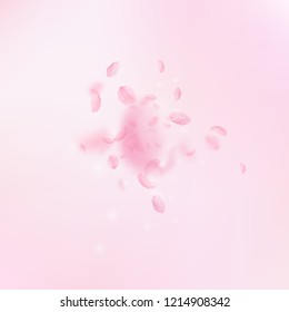 Sakura petals falling down. Romantic pink flowers explosion. Flying petals on pink square background. Love, romance concept. Exquisite wedding invitation.