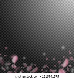 Sakura petals falling down. Romantic pink flowers gradient. Flying petals on transparent square background. Love, romance concept. Delightful wedding invitation.