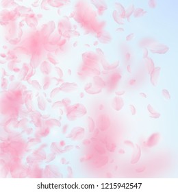 Sakura petals falling down. Romantic pink flowers gradient. Flying petals on blue sky square background. Love, romance concept. Artistic wedding invitation.