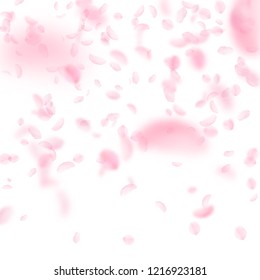 Sakura petals falling down. Romantic pink flowers gradient. Flying petals on white square background. Love, romance concept. Attractive wedding invitation.