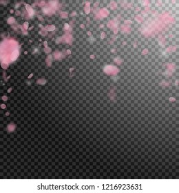 Sakura petals falling down. Romantic pink flowers falling rain. Flying petals on transparent square background. Love, romance concept. Mind-blowing wedding invitation.
