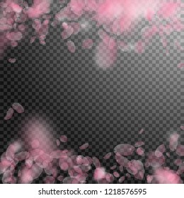 Sakura petals falling down. Romantic pink flowers falling rain. Flying petals on transparent square background. Love, romance concept. Pleasant wedding invitation.