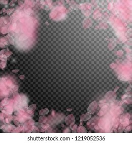 Sakura petals falling down. Romantic pink flowers vignette. Flying petals on transparent square background. Love, romance concept. Grand wedding invitation.