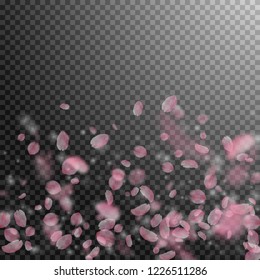 Sakura petals falling down. Romantic pink flowers gradient. Flying petals on transparent square background. Love, romance concept. Wondrous wedding invitation.