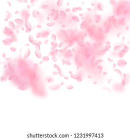 Sakura petals falling down. Romantic pink flowers gradient. Flying petals on white square background. Love, romance concept. Artistic wedding invitation.