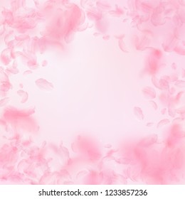 Sakura petals falling down. Romantic pink flowers vignette. Flying petals on pink square background. Love, romance concept. Great wedding invitation.