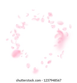 Sakura petals falling down. Romantic pink flowers vignette. Flying petals on white square background. Love, romance concept. Extraordinary wedding invitation.
