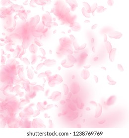 Sakura petals falling down. Romantic pink flowers gradient. Flying petals on white square background. Love, romance concept. Brilliant wedding invitation.