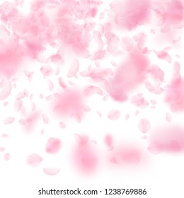 Sakura petals falling down. Romantic pink flowers gradient. Flying petals on white square background. Love, romance concept. Authentic wedding invitation.