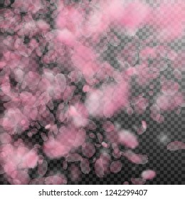 Sakura petals falling down. Romantic pink flowers gradient. Flying petals on transparent square background. Love, romance concept. Excellent wedding invitation.