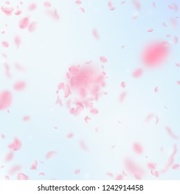 Sakura petals falling down. Romantic pink flowers explosion. Flying petals on blue sky square background. Love, romance concept. Comely wedding invitation.