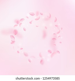 Sakura petals falling down. Romantic pink flowers frame. Flying petals on pink square background. Love, romance concept. Popular wedding invitation.