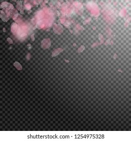 Sakura petals falling down. Romantic pink flowers gradient. Flying petals on transparent square background. Love, romance concept. Fancy wedding invitation.