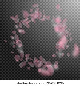 Sakura petals falling down. Romantic pink flowers vignette. Flying petals on transparent square background. Love, romance concept