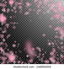 Sakura petals falling down. Romantic pink flowers vignette. Flying petals on transparent square background. Love, romance concept. Mesmeric wedding invitation.