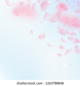 Sakura petals falling down. Romantic pink flowers corner. Flying petals on blue sky square background. Love, romance concept. Attractive wedding invitation.