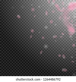 Sakura petals falling down. Romantic pink flowers corner. Flying petals on transparent square background. Love, romance concept. Eminent wedding invitation.