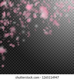 Sakura petals falling down. Romantic pink flowers falling rain. Flying petals on transparent square background. Love, romance concept. Precious wedding invitation.