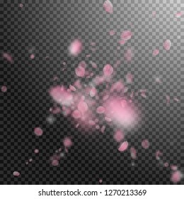 Sakura petals falling down. Romantic pink flowers explosion. Flying petals on transparent square background. Love, romance concept. Imaginative wedding invitation.