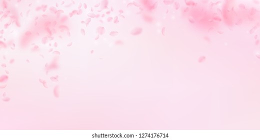 Sakura petals falling down. Romantic pink flowers falling rain. Flying petals on pink wide background. Love, romance concept. Overwhelming wedding invitation.