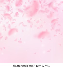 Sakura petals falling down. Romantic pink flowers falling rain. Flying petals on pink square background. Love, romance concept. Good-looking wedding invitation.