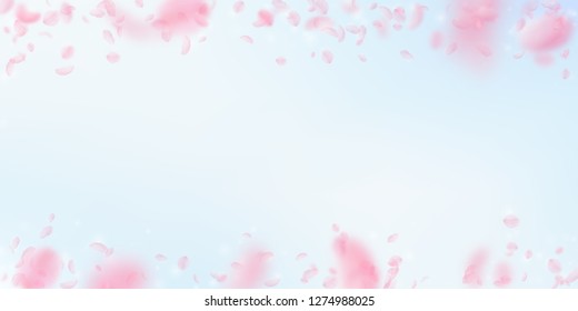 Sakura petals falling down. Romantic pink flowers falling rain. Flying petals on blue sky wide background. Love, romance concept. Interesting wedding invitation.