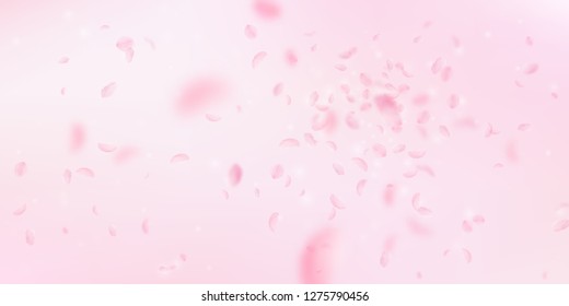 Sakura petals falling down. Romantic pink flowers explosion. Flying petals on pink wide background. Love, romance concept. Magnificent wedding invitation.