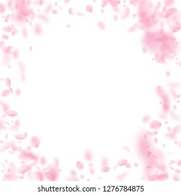 Sakura petals falling down. Romantic pink flowers vignette. Flying petals on white square background. Love, romance concept. Extra wedding invitation.