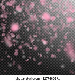 Sakura petals falling down. Romantic pink flowers gradient. Flying petals on transparent square background. Love, romance concept. Delicate wedding invitation.