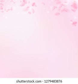 Sakura petals falling down. Romantic pink flowers gradient. Flying petals on pink square background. Love, romance concept. Amazing wedding invitation.