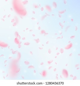 Sakura petals falling down. Romantic pink flowers falling rain. Flying petals on blue sky square background. Love, romance concept. Interesting wedding invitation.