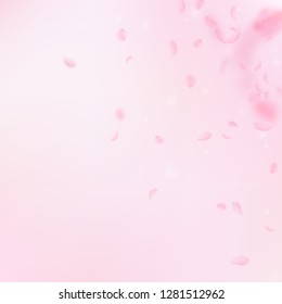 Sakura petals falling down. Romantic pink flowers corner. Flying petals on pink square background. Love, romance concept. Classic wedding invitation.