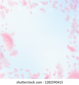 Sakura petals falling down. Romantic pink flowers frame. Flying petals on blue sky square background. Love, romance concept. Modern wedding invitation.